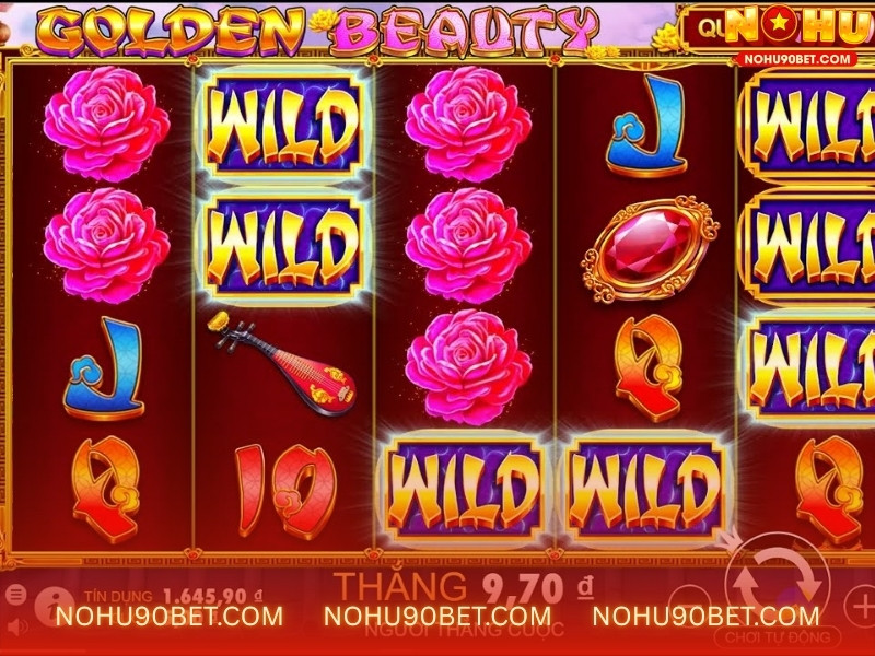 Chương trình khuyến mãi – Ưu đãi hấp dẫn tại Nohu90